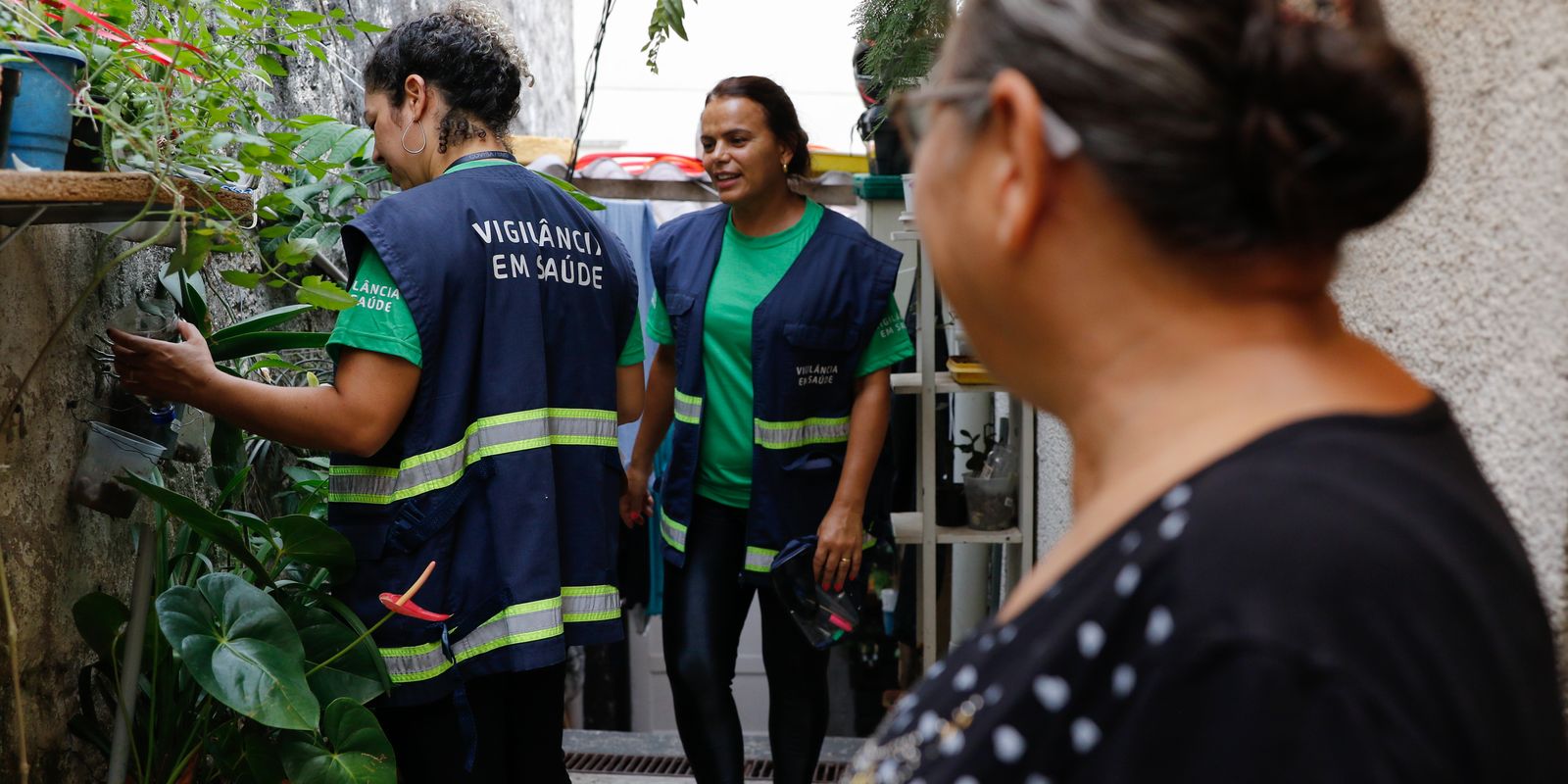 em-um-mes,-casos-de-dengue-dobram-em-sao-paulo