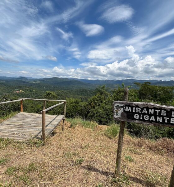 parque-estadual-mata-do-limoeiro-ganha-novo-atrativo-turistico