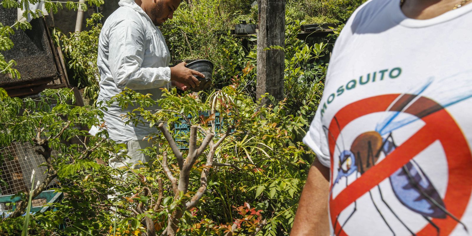 brasil-registra-mais-de-2-milhoes-de-casos-de-dengue