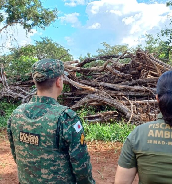 governo-de-minas-fiscaliza-alvos-suspeitos-de-desmatamento-ilegal-no-triangulo-mineiro