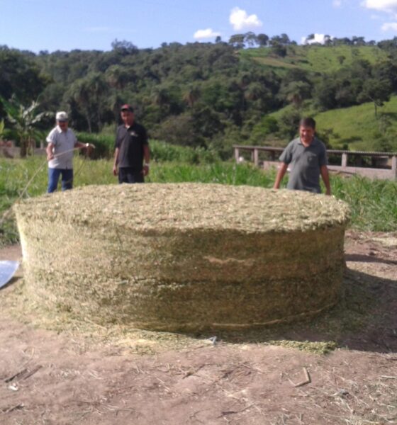 produtores-rurais-do-norte-de-minas-se preparam-para-enfrentar-o-periodo-de-seca